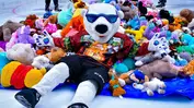 Orlando Solar Bears host the annual Teddy Bear Toss on December 19 against the South Carolina Stingrays