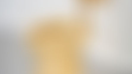 Believe It or Not as Orlando's Ripley's Believe It or Not! buys a solid gold toilet for $12.1m!