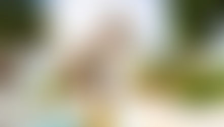 Water Park Seasonal Passes slide back to Walt Disney World and Blizzard Beach reopens February 15