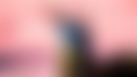 Tyler, The Creator brings Sold Out CHROMAKOPIA World Tour to Orlando with Paris Texas & Lil Yachty