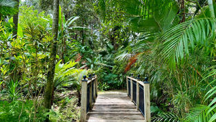 Explore beautiful Leu Gardens with free admission, plus Story Time for the little ones