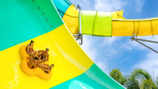 Tampa Bay's Water Park, Adventure Island ready to splash back into action for the 2025 season!