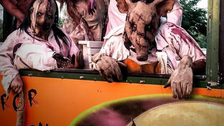 Endure A Horrifyingly Scary Journey Into A Petrified Forest Here In Orlando