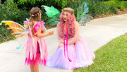 Discover the magic of the Fairy Doors at Leu Gardens during a special Fairy Night on June 26!
