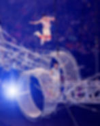 Ringling Bros. and Barnum & Bailey, coming to Tampa on January 2 - 4