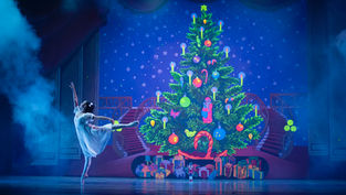 Revel in a thrilling twist on a holiday favorite with A Christmas Nutcracker Tale in Orlando's Steinmetz Hall!