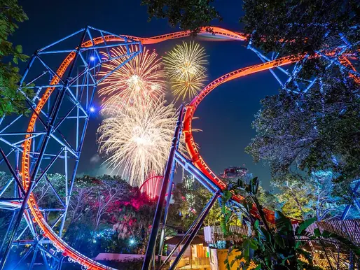 Enjoy Dazzling Fireworks Every Night From Now Until January 1 at Busch Gardens Tampa Bay