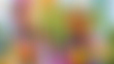 What's New at Busch Gardens Tampa Bay for Summer 2026