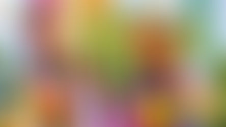 What's New at Busch Gardens Tampa Bay for Summer 2026