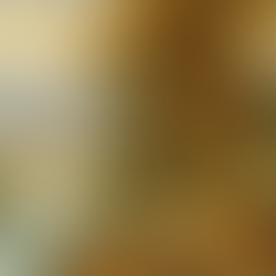 Rollins Museum of Art kicks off it's Fall 2024 Season of Exhibitions