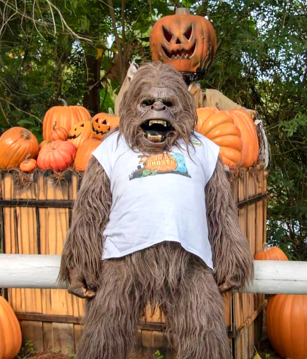 Popular family-friendly Gators, Ghosts and Goblins returns to Gatorland for spooky season