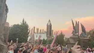 Fans Raise Wands At The Wizarding World Of Harry Potter To Honour The Passing Of Robbie Coltrane 