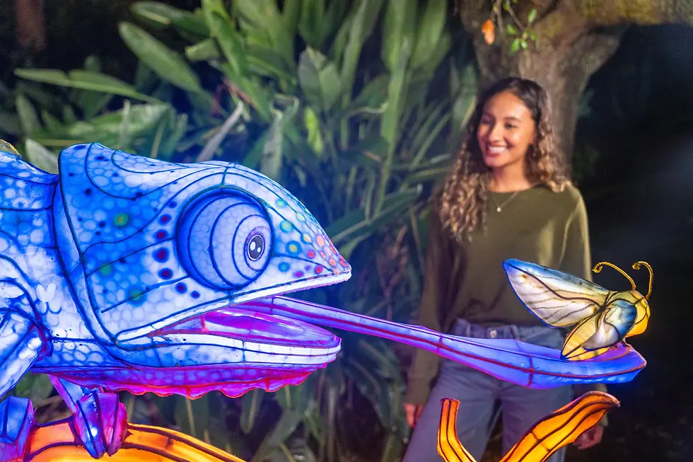 Illuminate at Aquatica Orlando