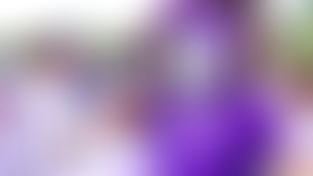 Orlando City SC hosting Kids Night and Birthday Celebrations for club mascot, Kingston on April 18