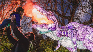 The Asian Lantern Festival: Into the Wild roars into Central Florida Zoo
