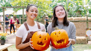 Grande Lakes Orlando announces new "Fall at Grande Lakes" Festival