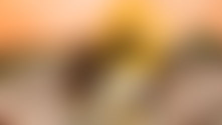 Check out the Eats and Treats coming to Disney's Animal Kingdom for the 30th Anniversary of "The Lion King"