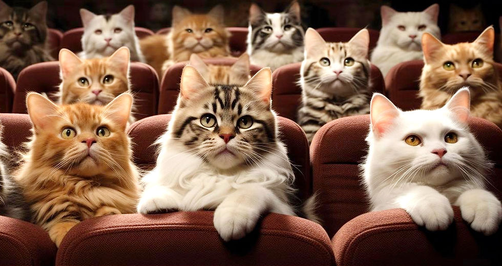 CATVIDEOFEST 2024, the world’s #1 cat video festival is coming back to The Enzian