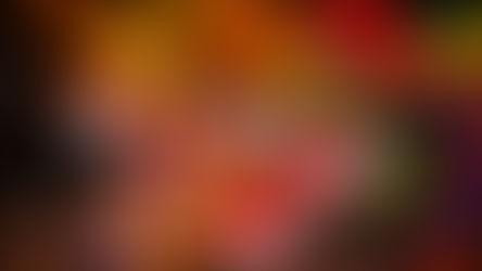 Celebrate New Year's Eve At Central Florida's Zoo Asian Lantern Festival