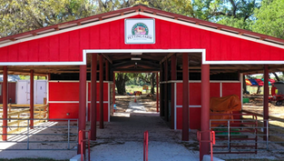 Beloved Kissimmee Attraction, Green Meadows Petting Farm is back!
