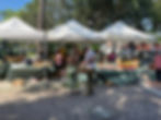 Windermere Farmers Market