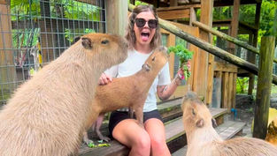 Florida Residents can go wild at Wild Florida with exclusive BOGO OFFER!