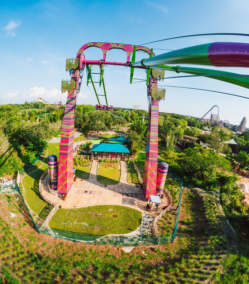 Serengeti Flyer Busch Gardens Tampa