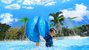 Florida kids ages 3 to 5 can enjoy Free Admission All Year Long at SeaWorld Orlando and Aquatica Orlando
