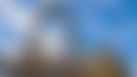 Busch Gardens Tampa Bay is inviting Pass Members to take on the Pass Member Coaster Challenge!