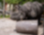 Sunset At The Zoo returns to Central Florida Zoo celebrating Black & African American Culture