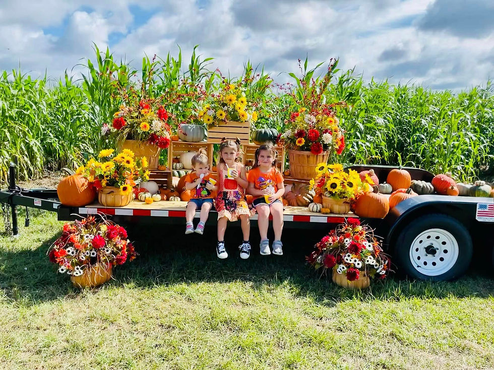 Find your way through the largest Corn Maze in Central Florida at Harvest Fields Corn Maze in DeLand