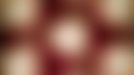 Museum Of Illusions At ICON Park To Play Host To Elves Off The Shelf Fridays