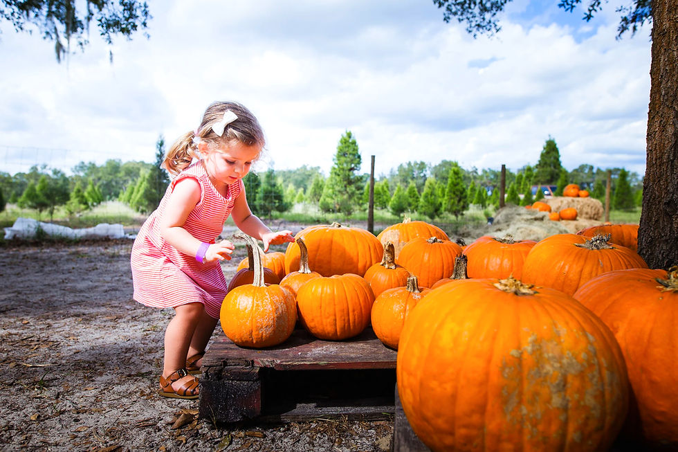 50+ Free and Cheap Things To Do in Orlando October 2025