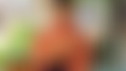 Mitsukoshi Department Store at the Japan Pavilion in EPCOT is hosting a Japanese Doll Festival