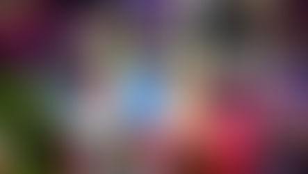 Join the City of Oviedo on December 6 for an unforgettable Winter Parade