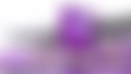 Orlando Pride announces ‘10 Years of Pride’, a year-long celebration of its 10th NWSL season