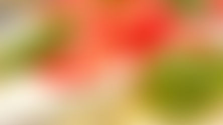 College Park Italian restaurant Turci Pasta opening Italian sandwiches shop Turci Panino next door!