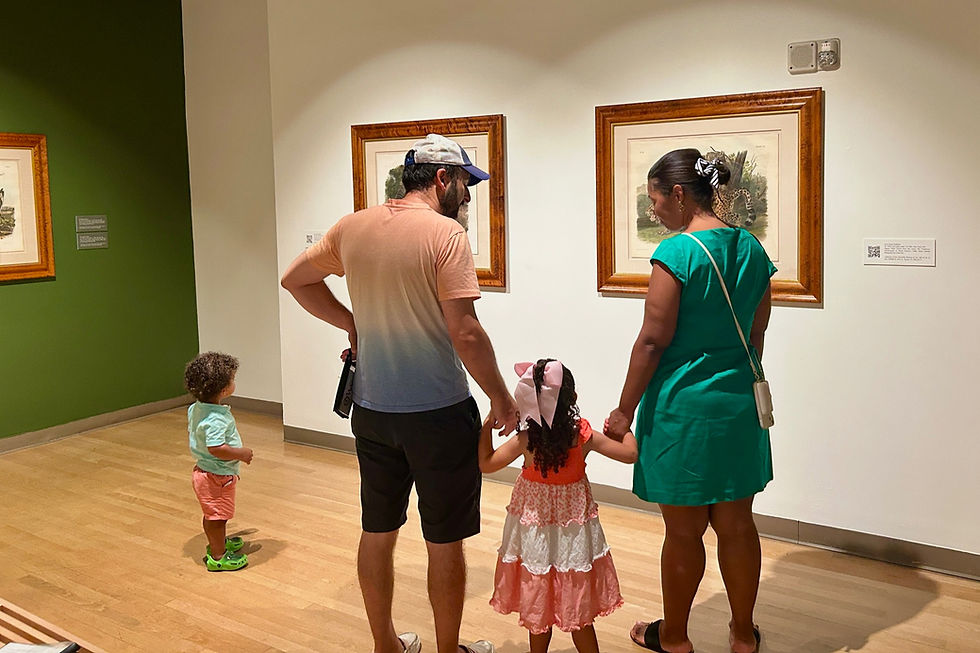 The Mennello Museum of American Art
