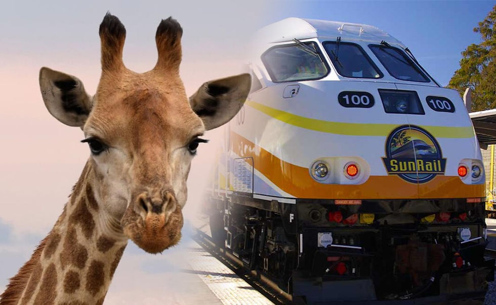 Choo-Choo to the Zoo