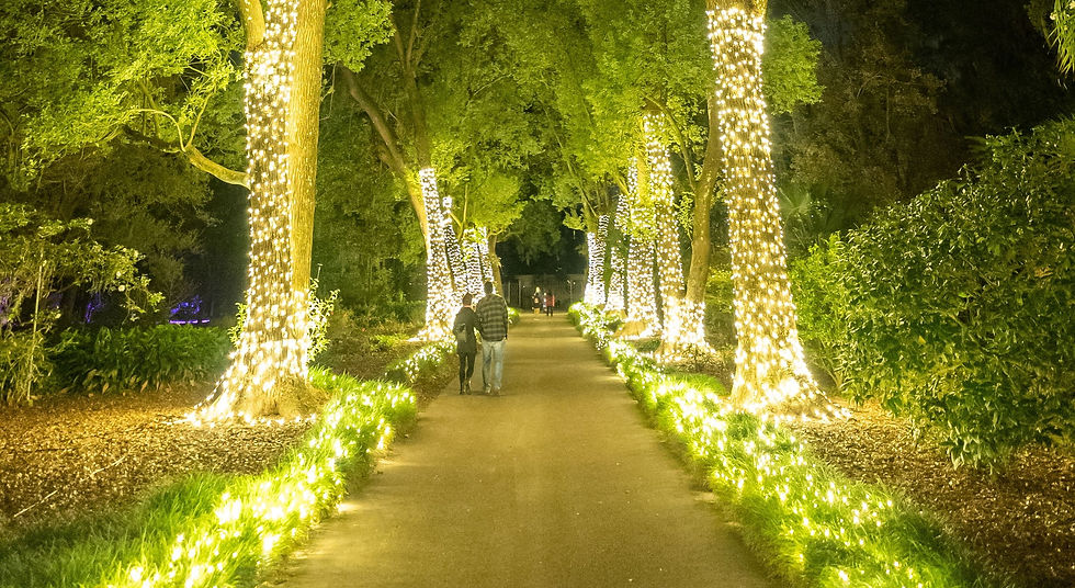 Holidays at Leu Gardens