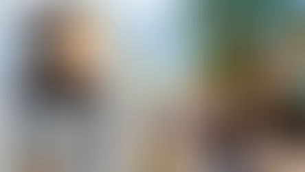 What's New at Disney Springs - Eats and Treats, Shopping, Entertainment and more!