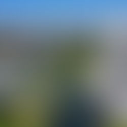 Disney Springs Resort Area Hotels extends special Spring Rate starting at $92