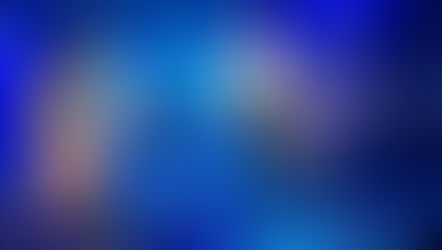 Bazaar Botanica’s Kitty Fest returns to Tuffy's in Sanford, weirder and fluffier than ever!