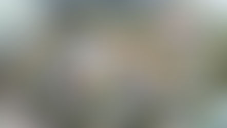 Rivers of America and Tom Sawyer Island to be replaced by Cars Attractions at Magic Kingdom - Check out how they will fit!