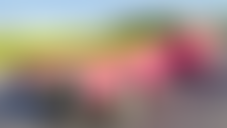 Dezerland Park’s Orlando Auto Museum acquires Elvis Presley’s 41-foot, guitar-shaped Pink Cadillac