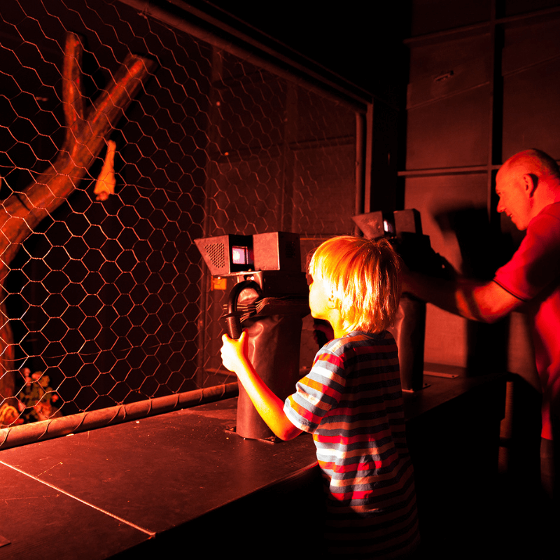 New exhibit, Backyard Adventures coming to Orlando Science Center