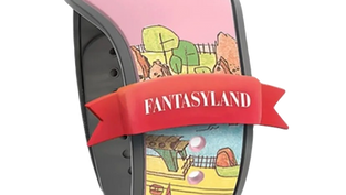 New Pre-Arrival Exclusive Magic Kingdom MagicBands Now Available