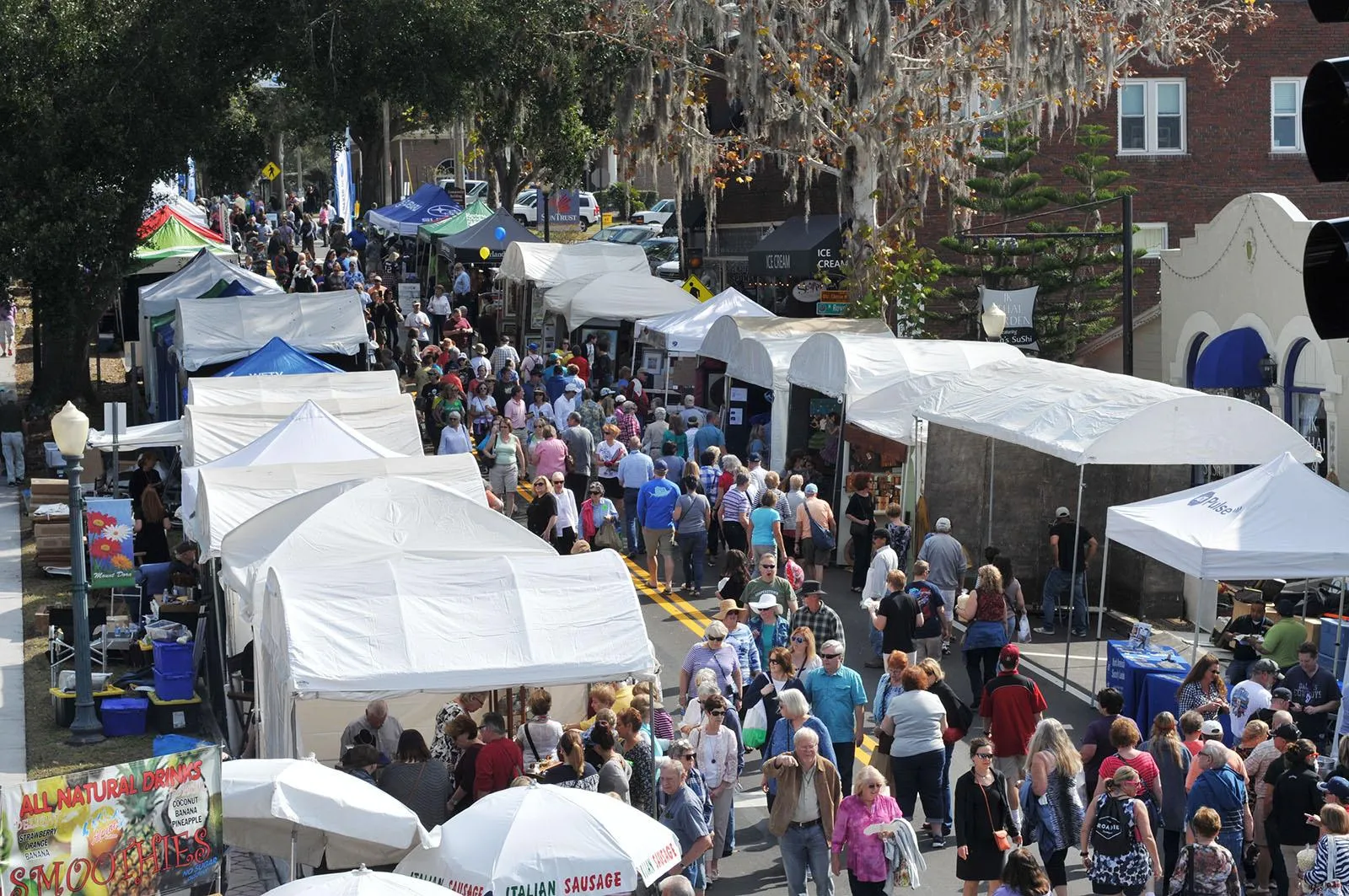 The 48th Annual Mount Dora Arts Festival returns to Historic Downtown