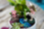 Bring the kids and enjoy family fun at the 2026 Orlando Fall Home & Garden Show