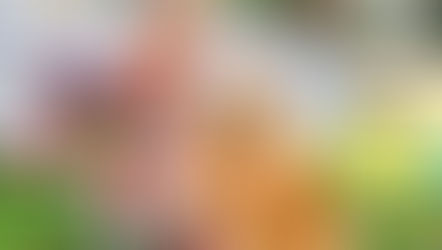 Zoey’s Adventures to the Ice Cream Shop from local author Ilene Lieber is the perfect gift for the little ones